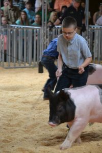 Cover photo for 2020 Albemarle County 4-H Livestock Show and Sale Registration