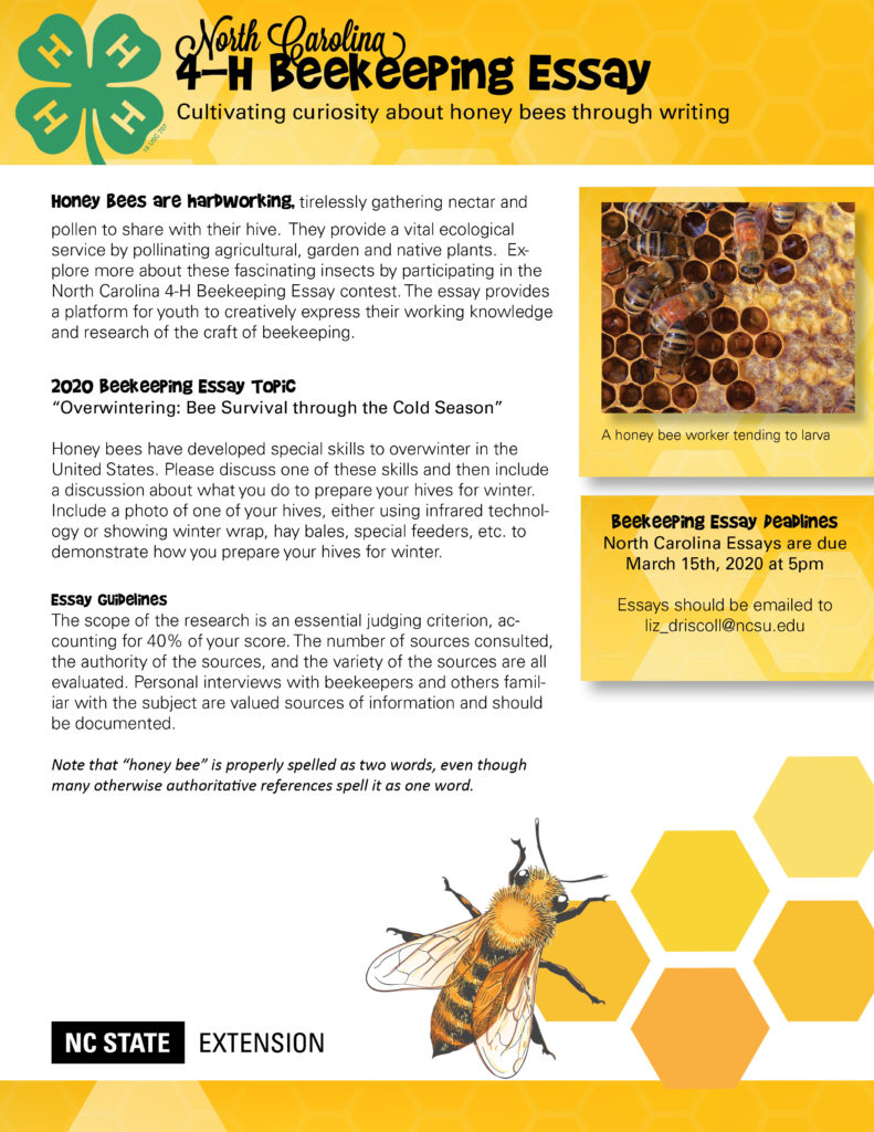 write an essay on beekeeping class 9