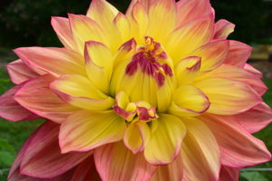 Cover photo for Winter & Early Spring Programming at Bullington
