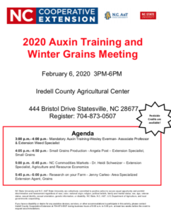Image of Flyer for Auxin Training 2020