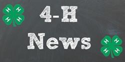 Cover photo for Rowan County 4-H February 2020 Newsletter