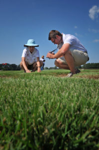 Turf grass faculty and students looking over samples