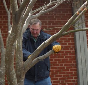 Cover photo for February 2020 Alamance Gardener