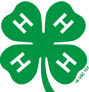 Cover photo for New Virtual Alamance County 4-H County Activity Day