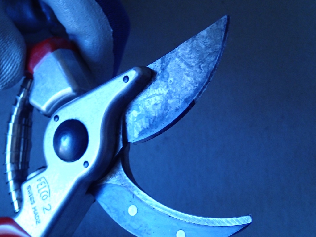 Sharpening Your Shears N.C. Cooperative Extension