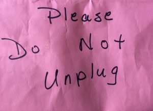 Cover photo for Incubating Quail Eggs Day 11