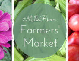 Cover photo for Mills River Farmers Market Annual Vendor Meeting