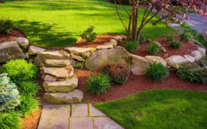 Cover photo for Landscape Contractor Exam Review Series