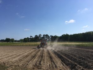 Cover photo for RMA Changes Earliest Planting Date Coverage to 4/1 for NC Soybeans