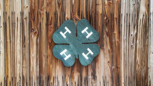 A brown, worn wooden background with a green 4-H clover logo affixed in the middle.