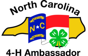 Cover photo for 4-H Ambassador Workshops