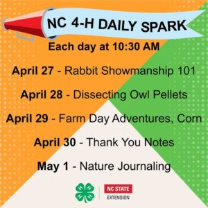 Cover photo for 4-H Spark Week 6