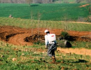 man with backpack sprayer in field