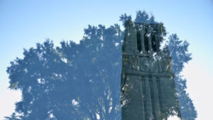 Double exposure of the NC State University Belltower and trees.