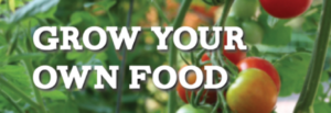 grow your own food logo
