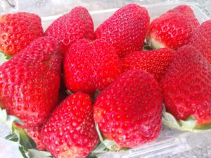 Cover photo for Strawberries are in Season