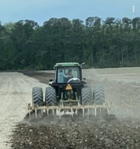 Cover photo for What's Growing in Pamlico?