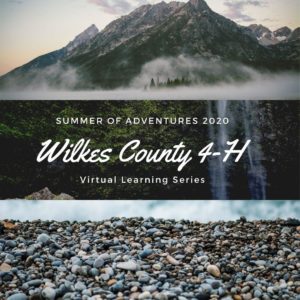 Wilkes County 4-H