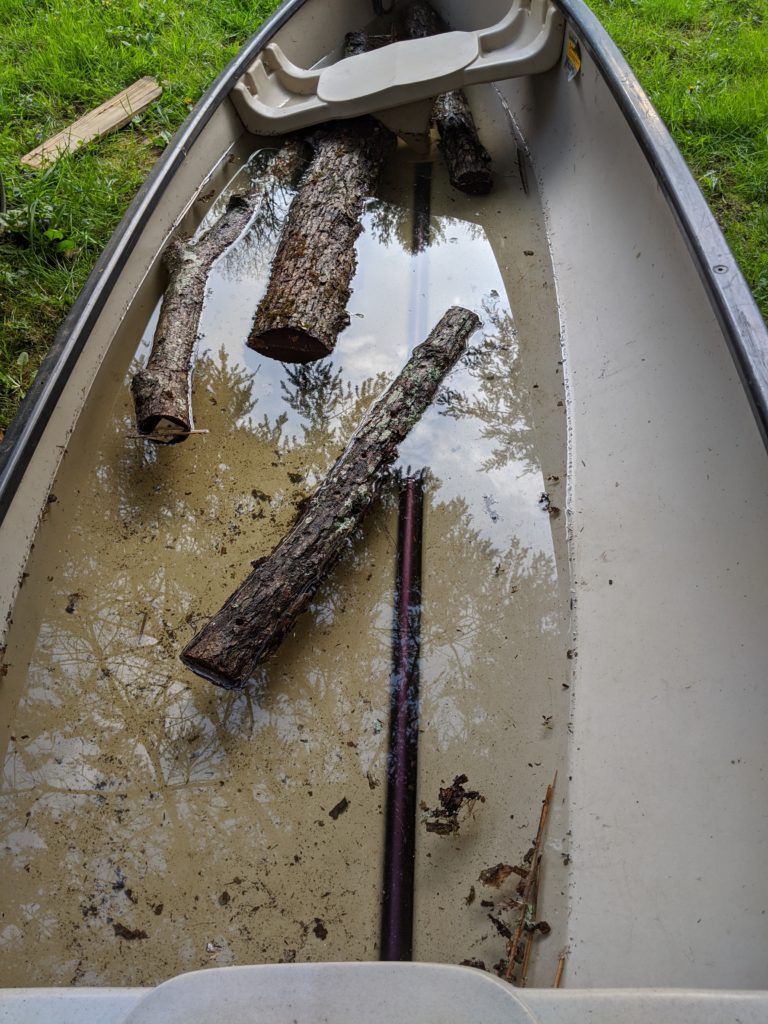 Forcing Shiitake Mushroom Logs to Fruit N.C. Cooperative Extension