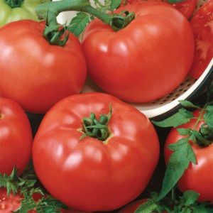 Cover photo for Hendersonville Farmers Market to Celebrate Tomatoes, Saturday August 7, 2021