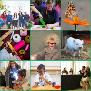 many summer program areas to choose from.