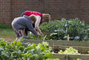 A volunteer helping a student garden