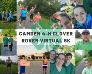 Cover photo for Clover Rover Virtual 5K a Success