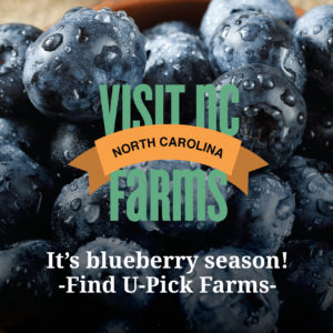 Cover photo for Blueberry Season Is a Burstin'
