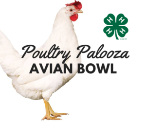 Cover photo for 4-H Poultry Palooza Avian Bowl