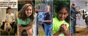 Cover photo for Celebrating Our 4-H Seniors!
