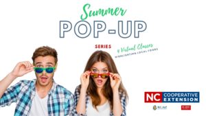Cover photo for Extension Summer Pop-Up Series