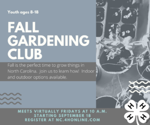 Fall Gardening Club Cabarrus County 4-H Club