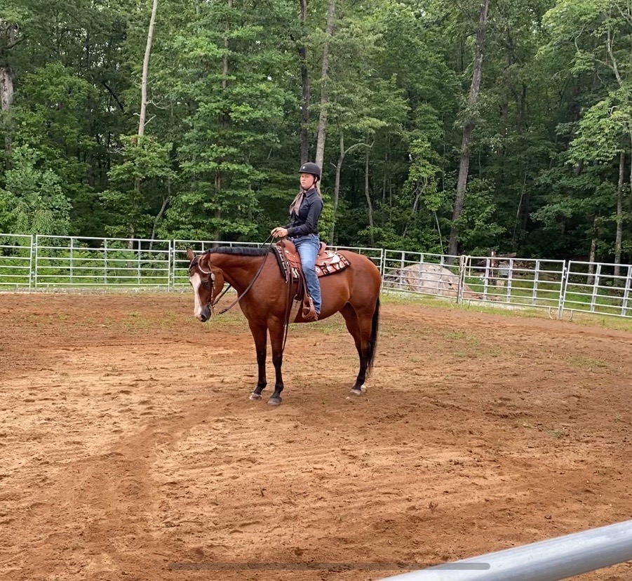 Macon County 4Hers Compete in State 4H Horse Show N.C. Cooperative