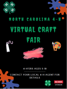NC 4-H Virtual Craft Fair