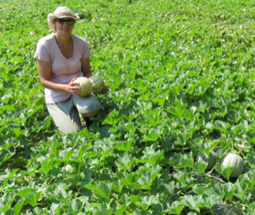 Cover photo for Join Us for Our Virtual Agriculture Open House!
