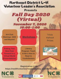 Cover photo for Northeast District 4-H Volunteer Leader's Association Hosts Virtual Fall Day 2020