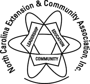 ECA Logo