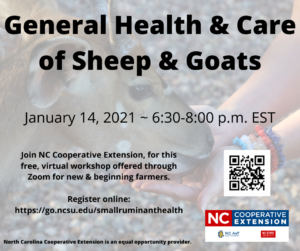 Cover photo for General Health and Care of Sheep and Goats