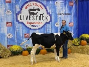 Ivory Eatmon poses with her dairy steer at the WNC Livestock Expo