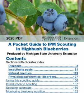 Cover photo for Blueberry Scouting Guide for Smartphones