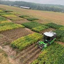 Cover photo for 2021 Perquimans Winter Production Meeting Schedule