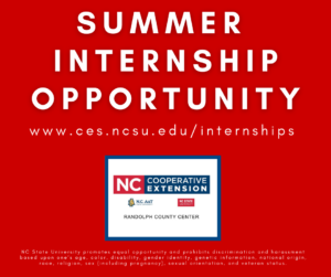 internship opportunity