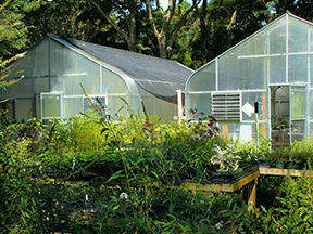 Cover photo for Greenhouse Grower Webinar Series 2021