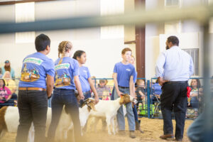 Cover photo for 2021 4-H Livestock Show and Sale Participation