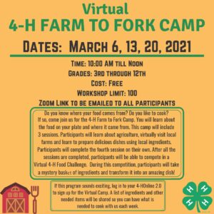 Cover photo for 4-H Farm to Fork Camp
