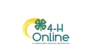 4-H Online 2.0