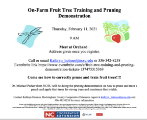 Cover photo for Rescheduled On-Farm Fruit Tree Pruning and Training Demonstration