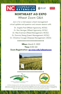 Cover photo for Mid-Season Wheat Q&A Zoom – 3/9/21