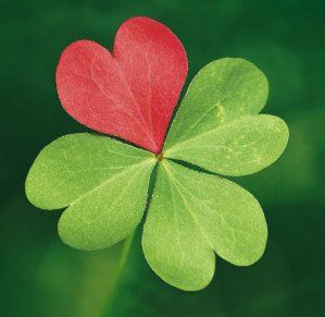 Cover photo for Four Leaf Clovers and Sweethearts!