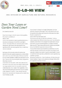 Cover photo for March Newsletter